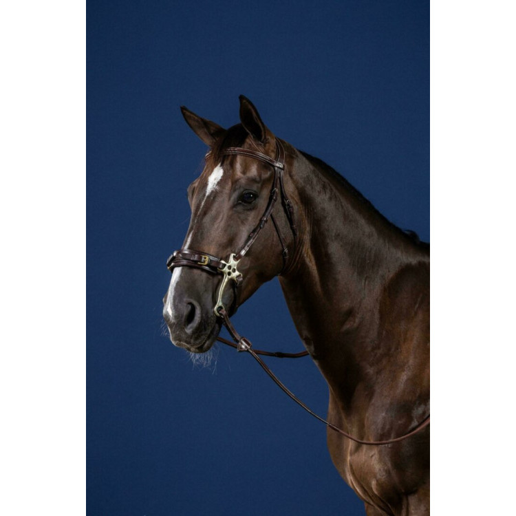 Bridon Dy'on Hackamore US Collection brun