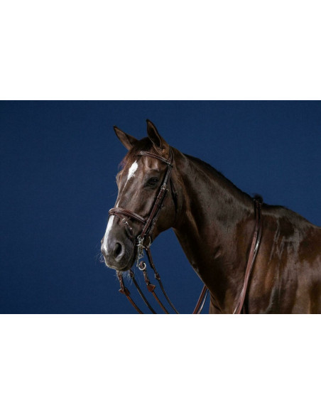 Bride Dy'on Muserolle Combinée US Collection brun