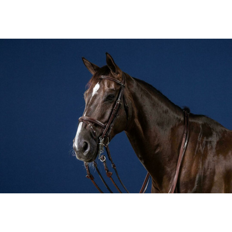 Bride Dy'on Muserolle Combinée US Collection brun