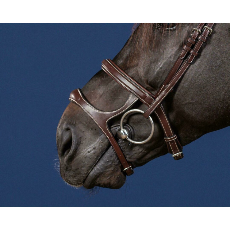 Double Muserolle Dy'on US Collection brun