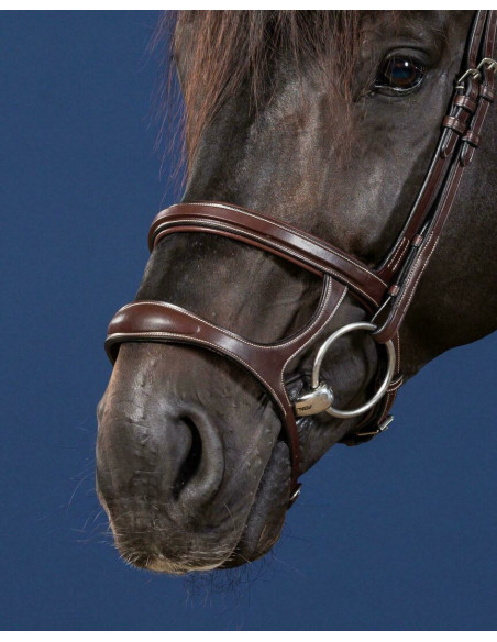 Double Muserolle Dy'on US Collection brun