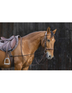 Norton Long Educational Overcheck