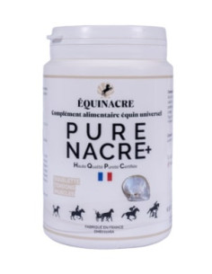 Pure Nacre Equinacre