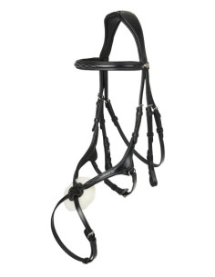 Bridle LeMieux Grackle