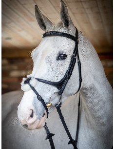 Bridon LeMieux Grackle 2
