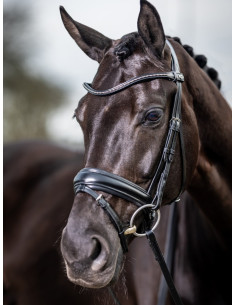 Bridon LeMieux Classic Dressage 2