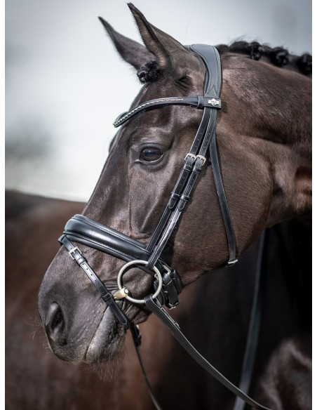 Tour De Dressage Intégré LeMieux - Noir/Noir Peau De Mouton - 75 Cm - Occasion