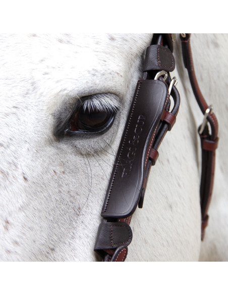 Œillères Flags & Cup