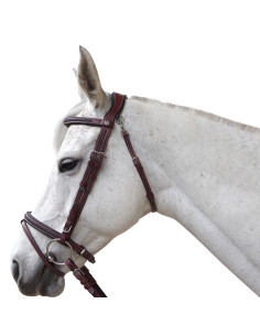 Bridon Flags & Cup Aachen Noir 2