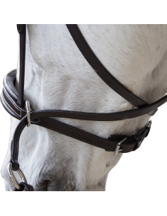 Bridon Canter Bitless Evolution 2