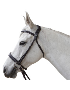 Bridon Canter Bitless Evolution