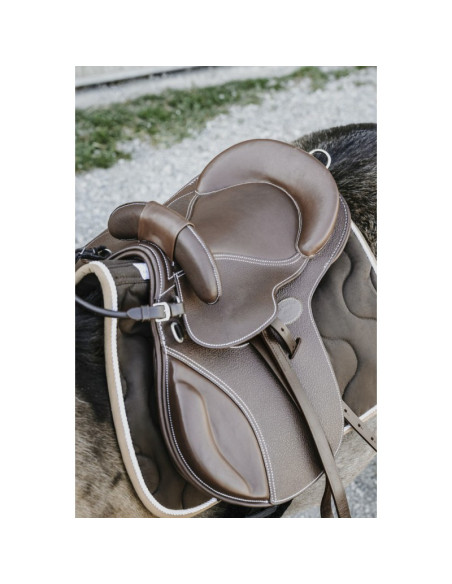 Selle Guy Cantin "Evolution Educative" havane