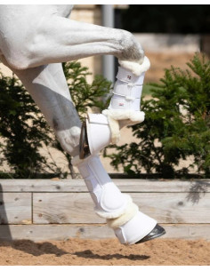 Guêtres Premier Equine Techno Antérieurs et Postérieurs Noires 2