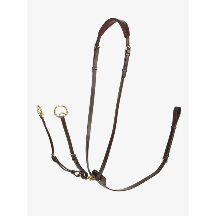Martingale LeMieux Kudos Running havane/brass