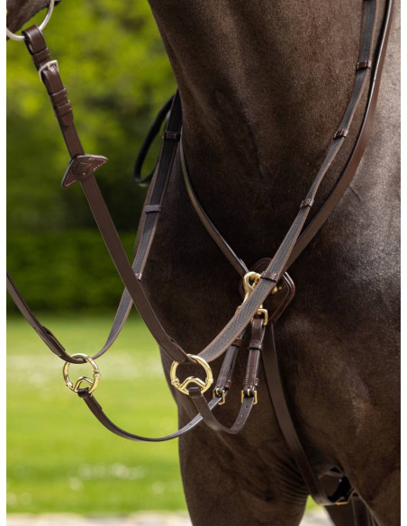 Martingale LeMieux Kudos Running havane/brass