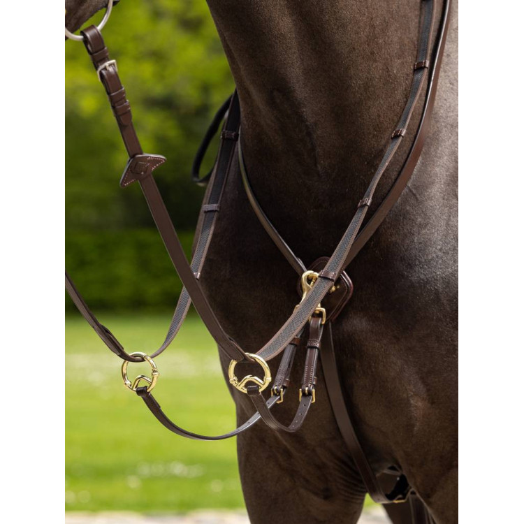 Martingale LeMieux Kudos Running havane/brass