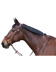 Bridon Lexington Atlanta