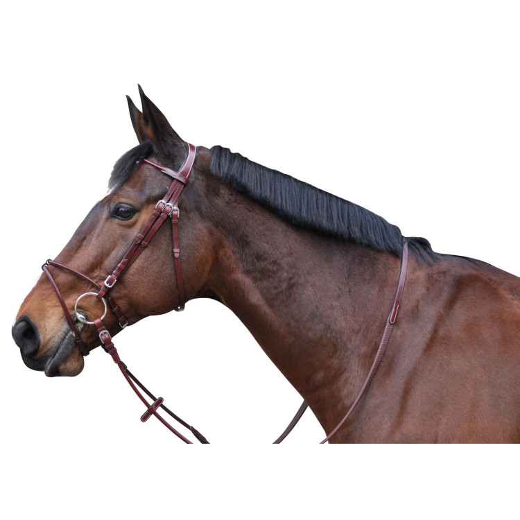 Bridon Lexington Atlanta