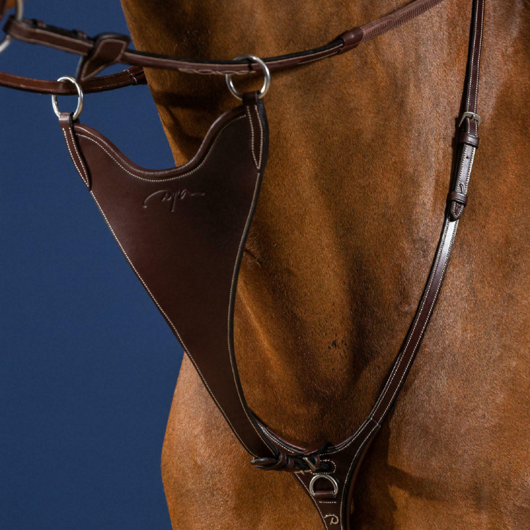 fourchette-de-martingale-dyon-pleine-rigide-us-collection