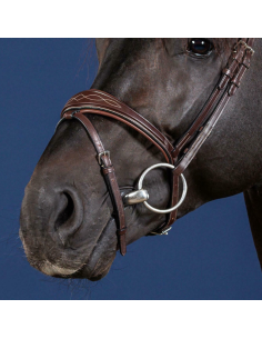 Noseband 1/2 US Collection 2