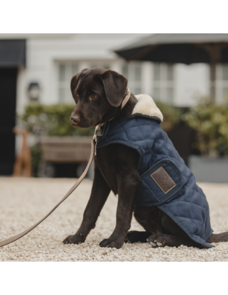 Laisse Kentucky Nylon Tressé 120 cm beige