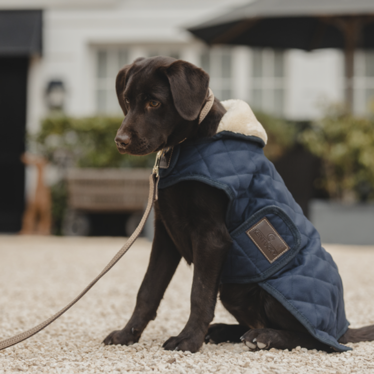 Laisse Kentucky Nylon Tressé 120 cm beige