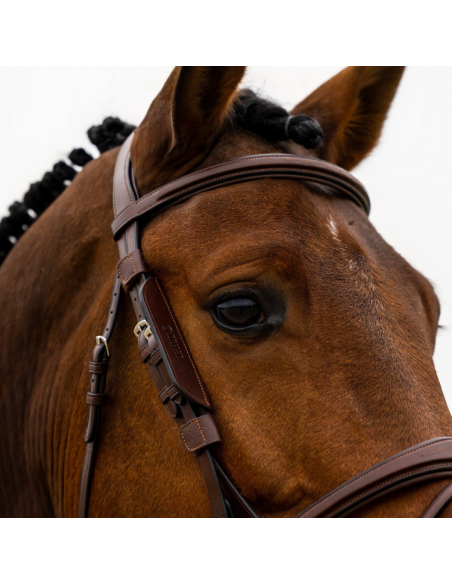 Œillères Trust Blinkers brun