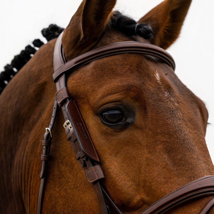 Œillères Trust Blinkers brun