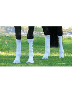 Chaussettes Equine Silver Whinnys