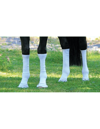 Chaussettes Equine Silver Whinnys