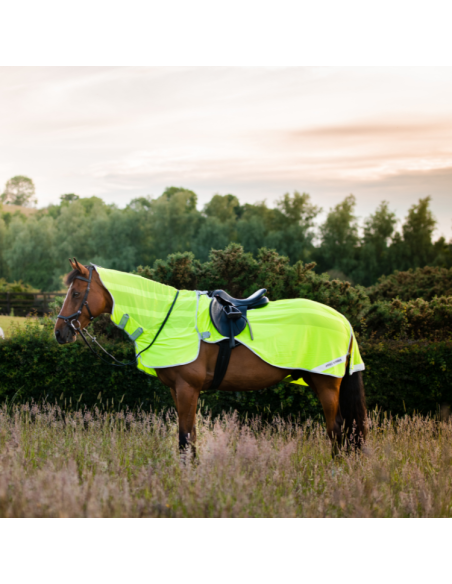 Chemise anti-mouches Amigo Flyrider jaune
