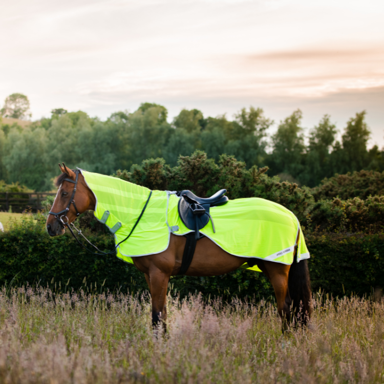 Chemise anti-mouches Amigo Flyrider jaune