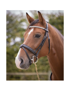 Bridon Pénélope "Harmonie" noir