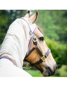 Horseware Rambo Pony Hoody 2