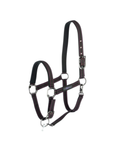 Licol Covalliero Avec Goupille GoLeyGo noir/fuschia