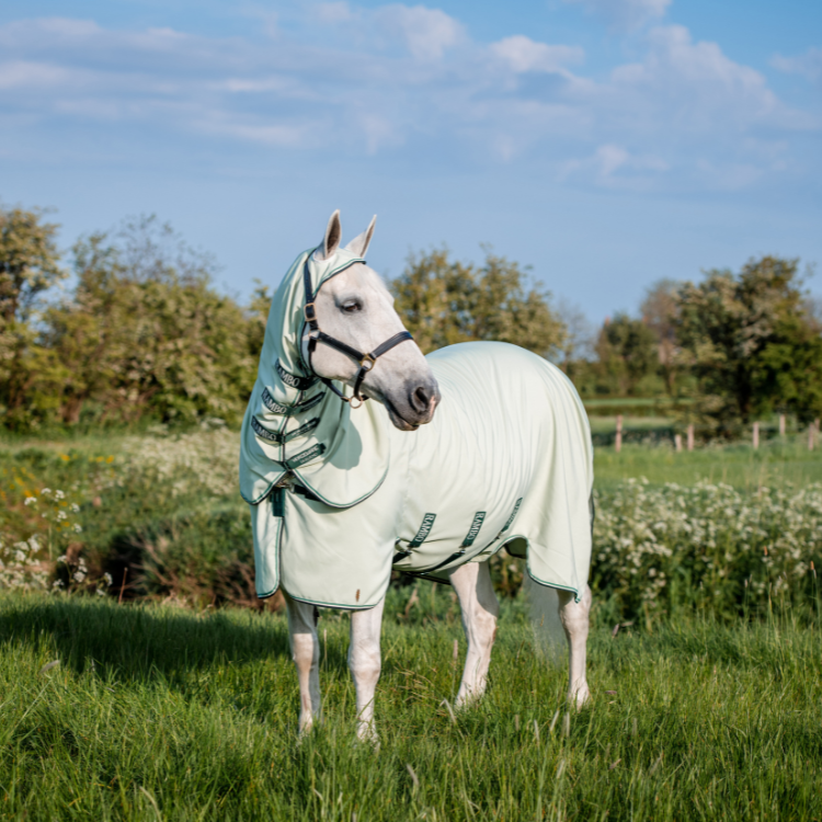 Chemise Horseware Rambo Hoody XL