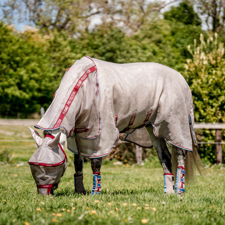 Guêtres Horseware Flyboots cerise