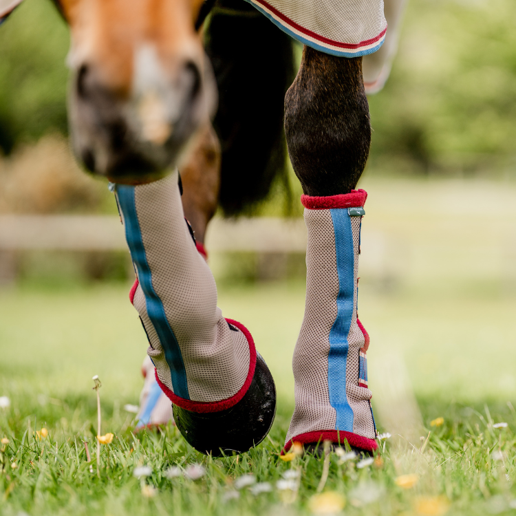 Guêtres Horseware Flyboots cerise