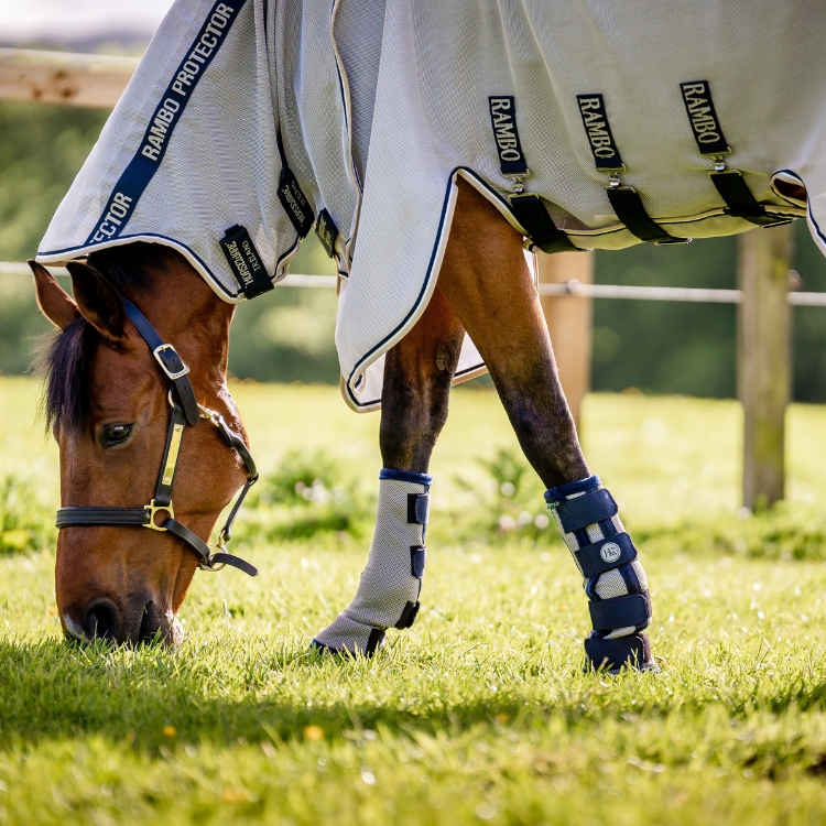 Guêtres Horseware Flyboots marine