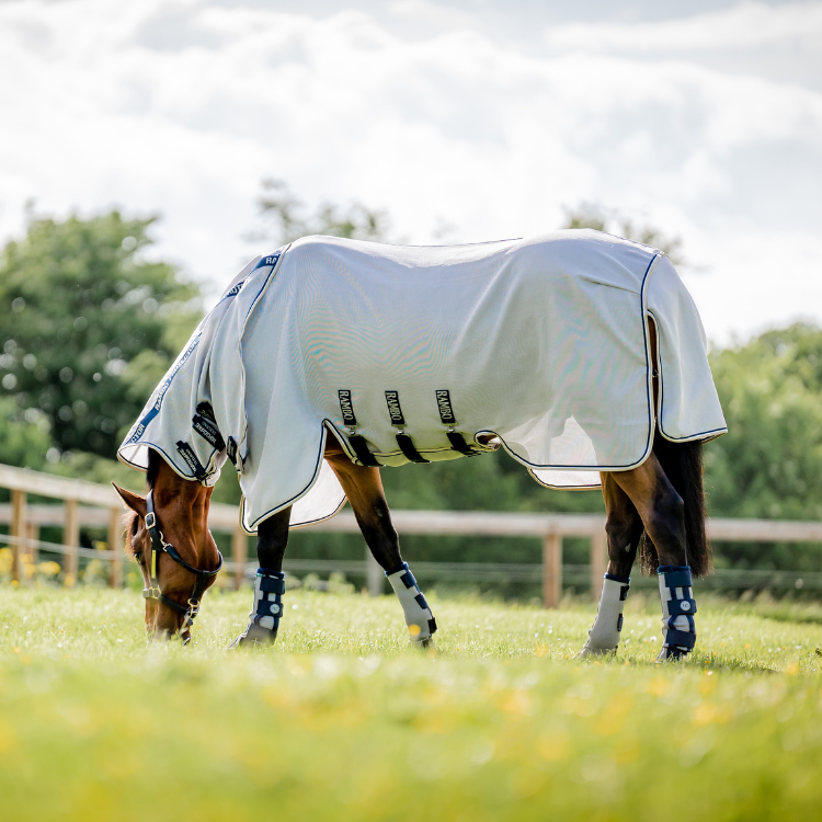 Guêtres Horseware Flyboots marine