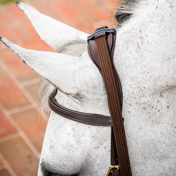 Horseware - Bridon Micklem Deluxe Competition Marron - Myver Sellerie