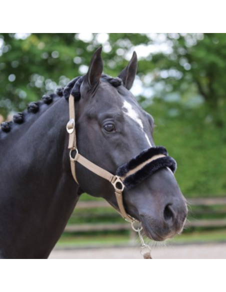 Licol Covalliero ClassicSoft cappucino