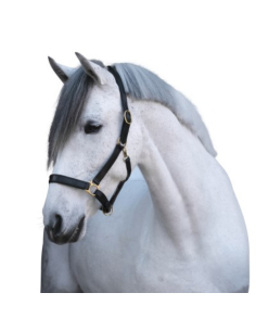 Licol Covalliero Eco noir