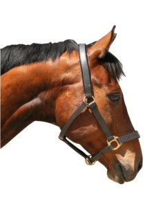 Licol Covalliero Eco noir 2