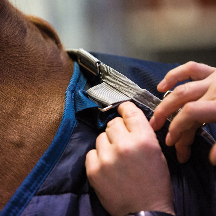 Sous-couverture Horseware 200grs marine