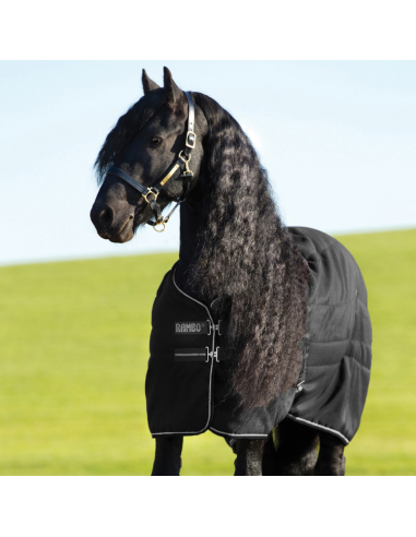 Couverture Horseware Rambo Stable 200G Noir