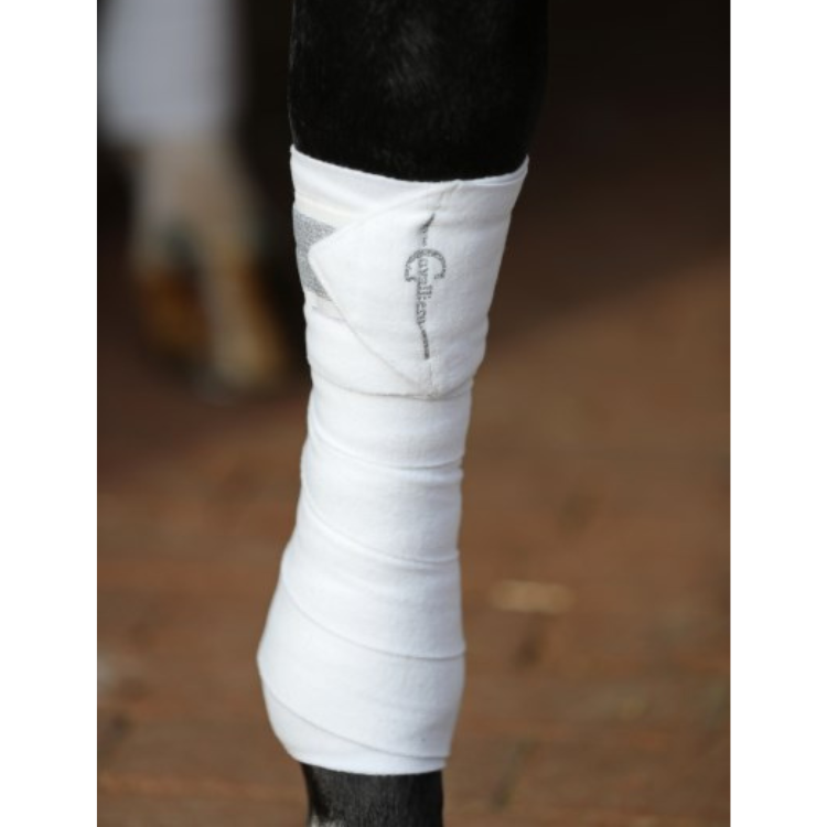 Bandes Polaire Covalliero Empara blanc