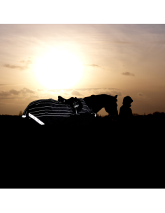 Couvre-reins Horseware Amigo Reflectech Competition sheet gris 2
