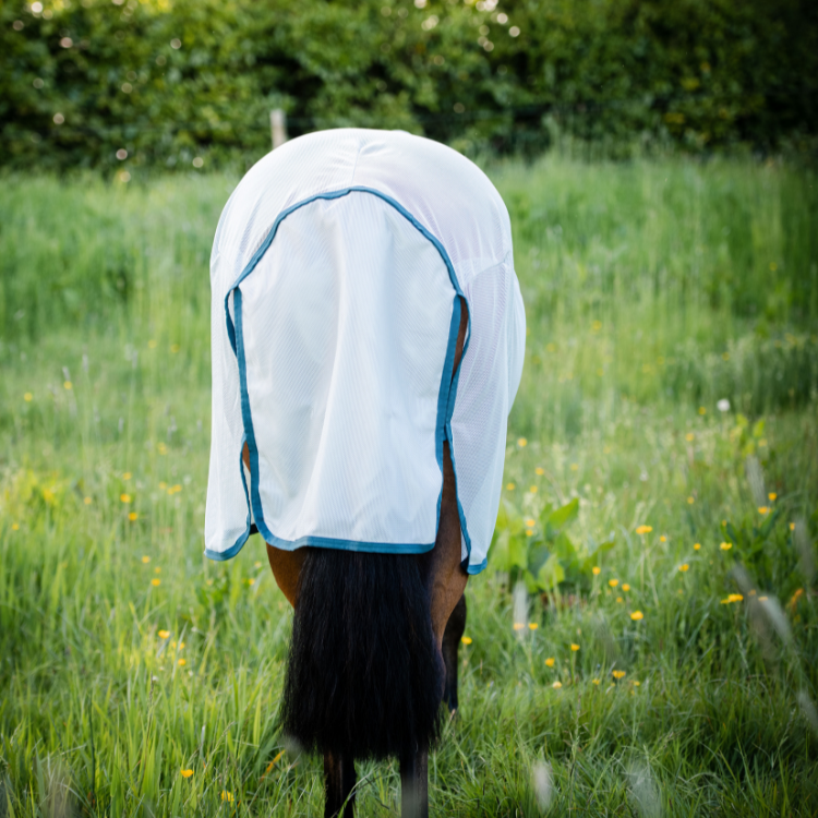 Chemise anti-mouches Horseware Ameco Bug Rug