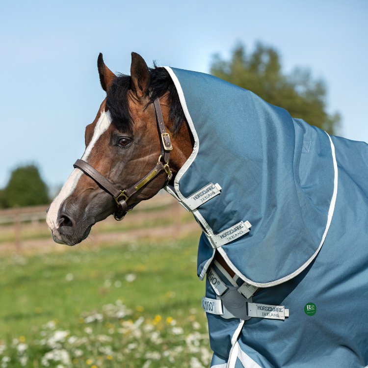 Couverture Horseware Ameco Bravo 12 Plus 0gr